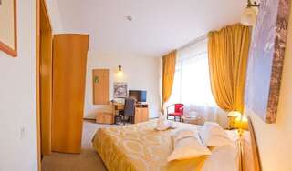 Отель Hotel Piemonte Предял Стандартный двухместный номер с 1 кроватью-13
